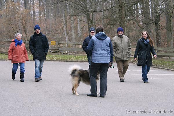 (Foto Goslar) Koerung Benno_14.03.2015_IMG_6783.png